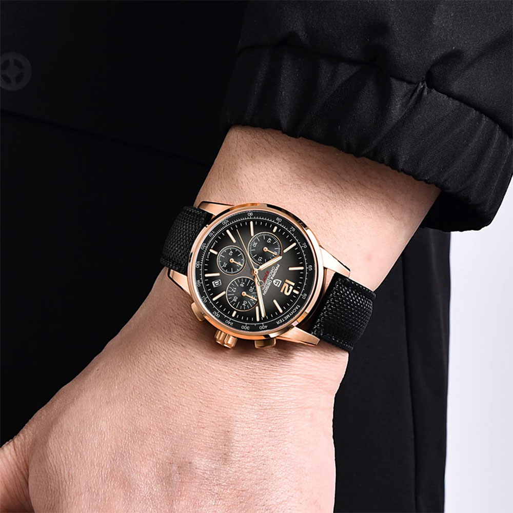 PAGANI DESIGN New Mens Watch 4 - Luxury Watch For Men 评论和价格