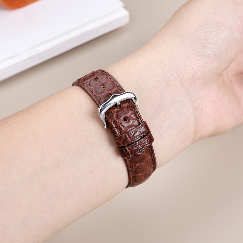 16mm 17 18 19 21 22mm Genuine  - Cartier Watch Tank 评论和价格